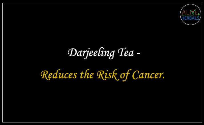 Darjeeling Tea - Buy from the Tea Store Near Me 