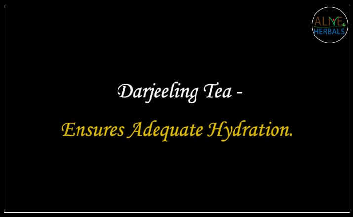 Darjeeling Tea - Buy from the Health Food Store