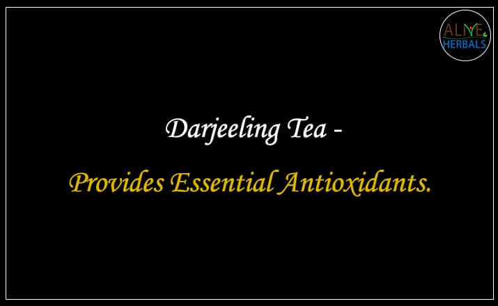 Darjeeling Tea - Buy from the Tea Store Brooklyn