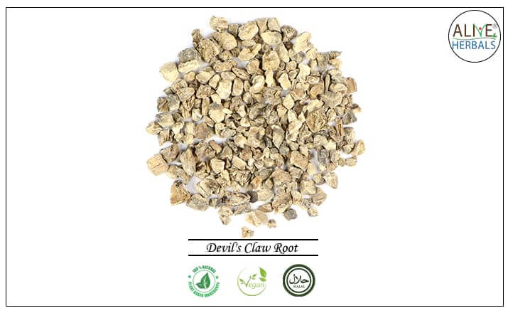 Devil&#39;s Claw Root - Buy from the health food store