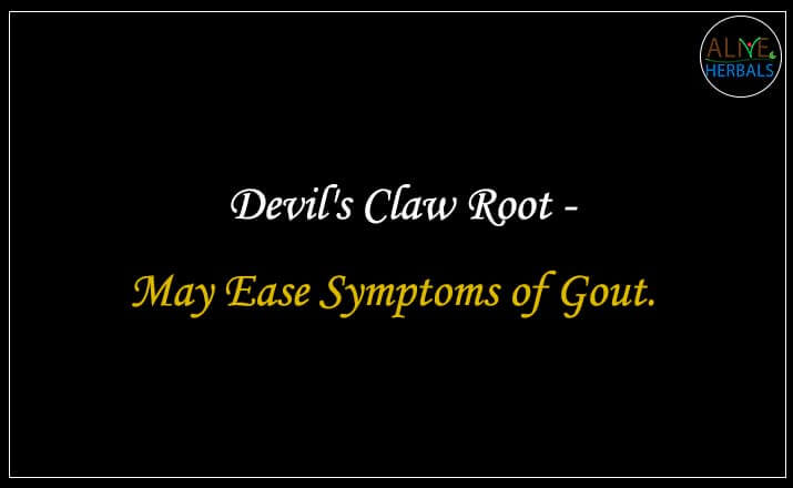 Devil's Claw Root - Buy from the online herbal store