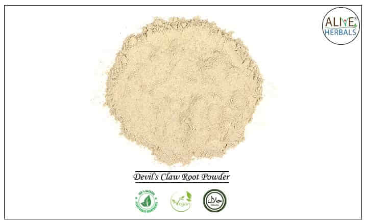 Devil's Claw Root Powder - Buy from the health food store