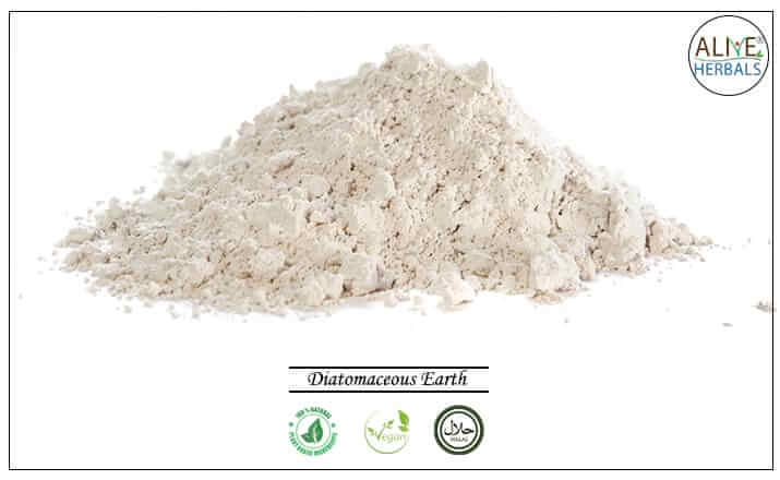 Diatomaceous Earth - Buy from the health food store