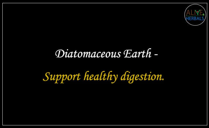 Diatomaceous Earth - Buy from the natural health food store