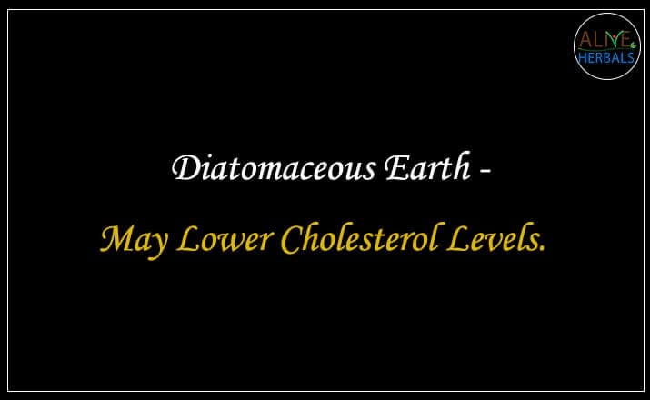 Diatomaceous Earth - Buy from the natural herb store