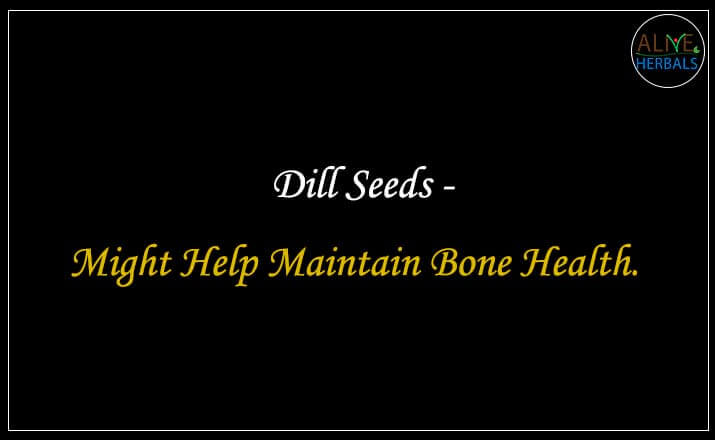 Dill Seeds - Buy at the Spice Store Brooklyn - Alive Herbals.
