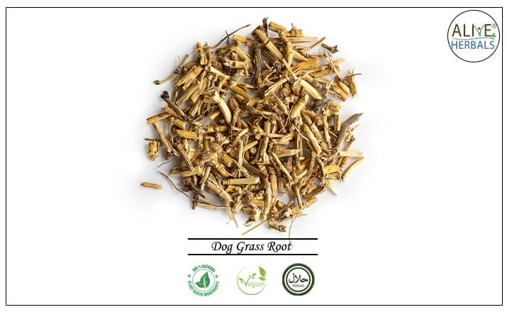 Dog Grass Root - Buy from the health food store