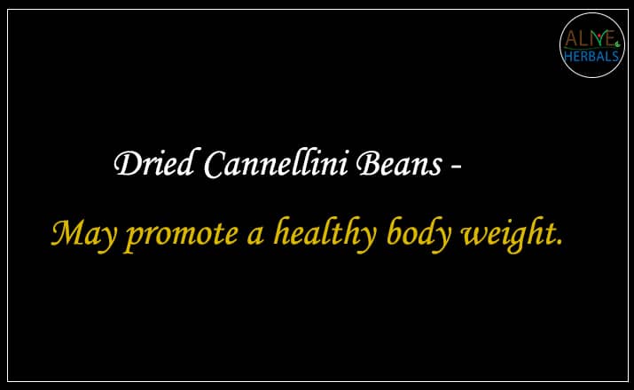 Dried Cannellini Beans - Buy From the best online lentils store