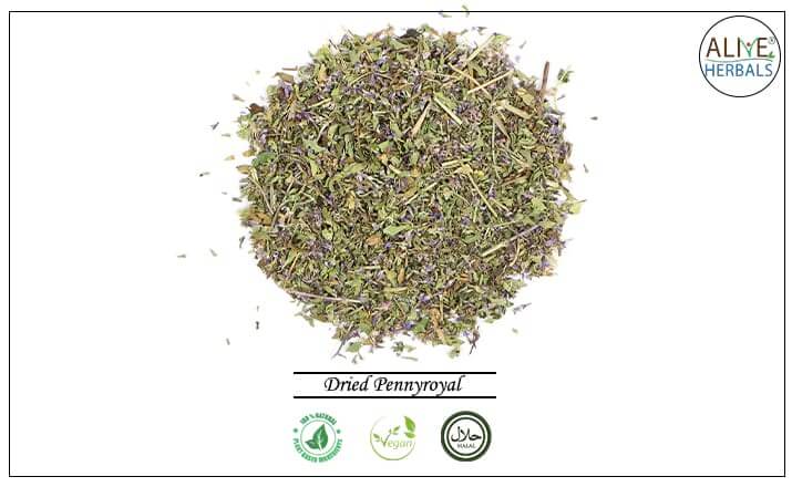 Dried Pennyroyal - Buy from the health food store