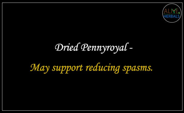 Dried Pennyroyal - Buy from the natural health food store