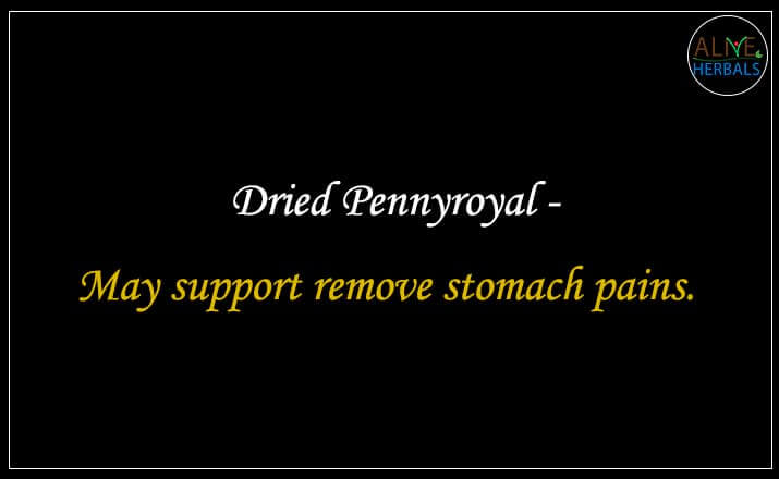 Dried Pennyroyal - Buy from the natural herb store