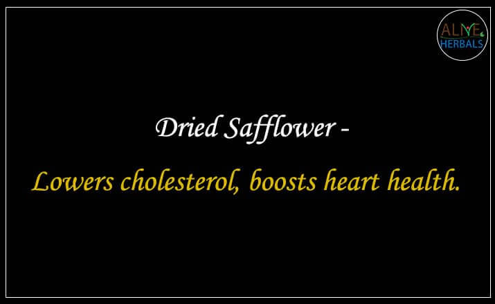 Dried Safflower - Buy from the natural health food store