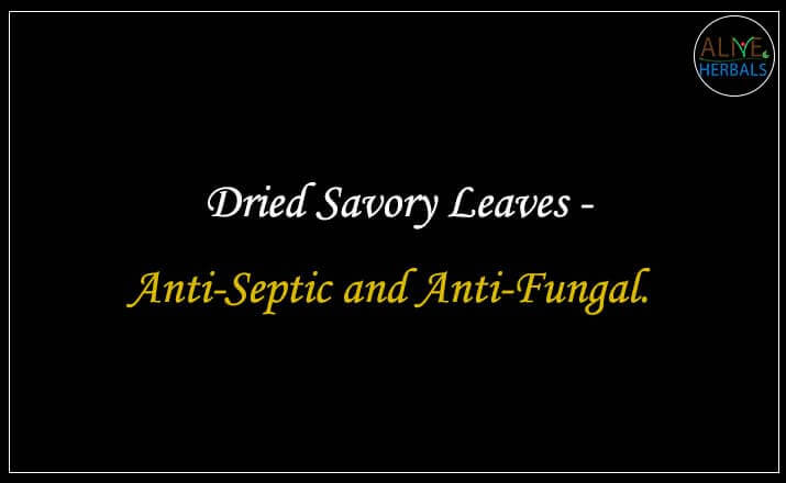 Dried Savory Leaves - Buy from the natural herb store