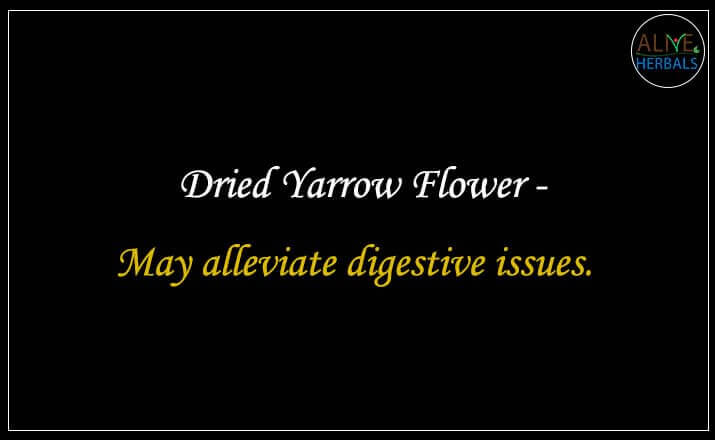 Dried Yarrow Flower - Buy from the online herbal store