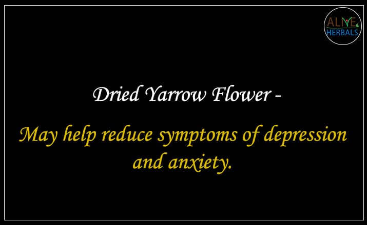 Dried Yarrow Flower - Buy from the natural health food store