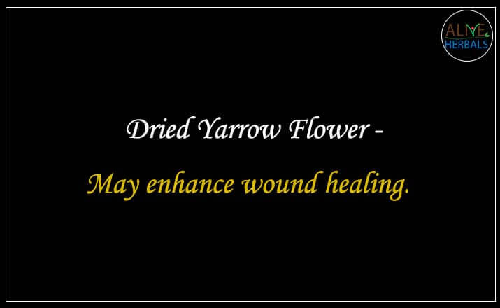 Dried Yarrow Flower - Buy from the natural herb store