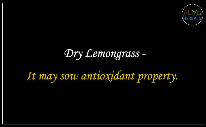 Dry Lemongrass - Buy from the online herbal store