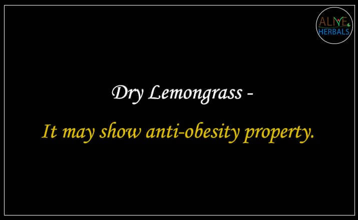 Dry Lemongrass - Buy from the natural health food store