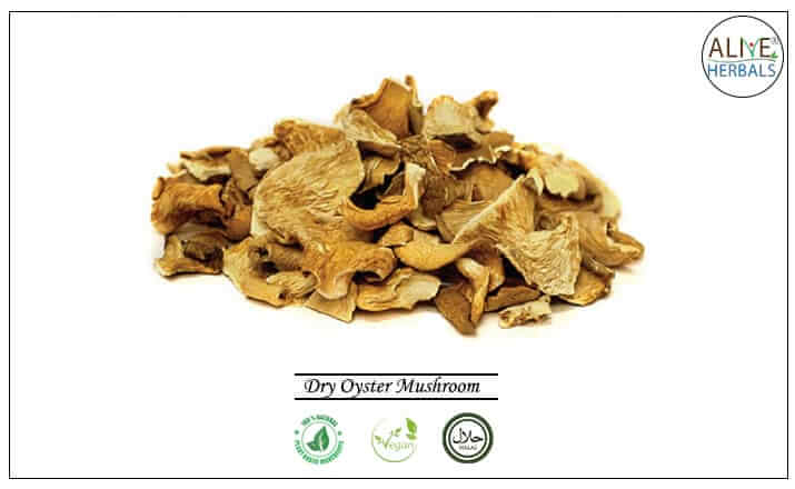 Dry Oyster Mushroom - Buy from the health food store