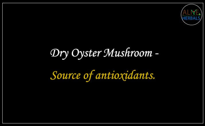 Dry Oyster Mushroom - Buy from the online herbal store