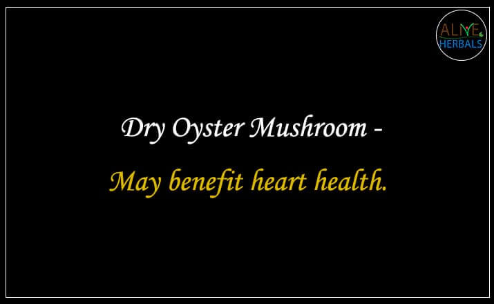 Dry Oyster Mushroom - Buy from the natural health food store