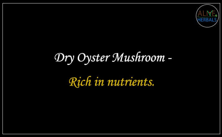 Dry Oyster Mushroom- Buy from the natural herb store