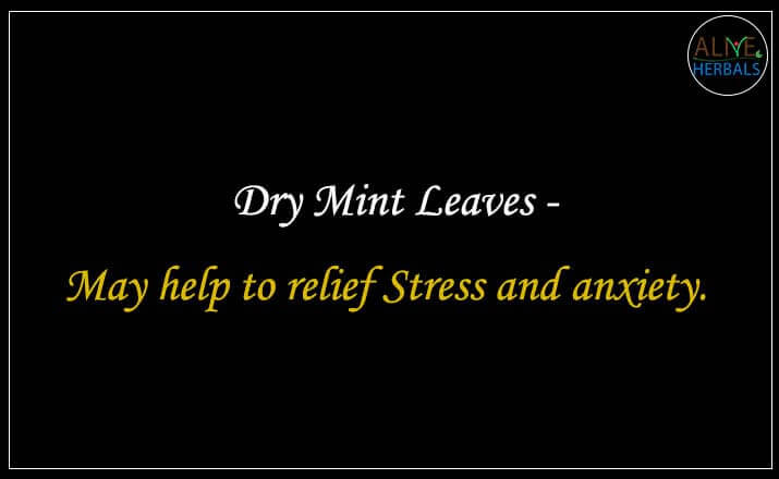 Dry Mint Leaves - Buy from the online herbal store