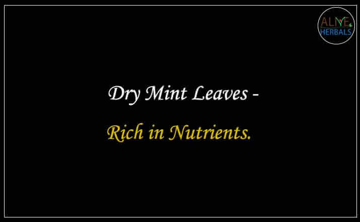 Dry Mint Leaves - Buy from the natural health food store