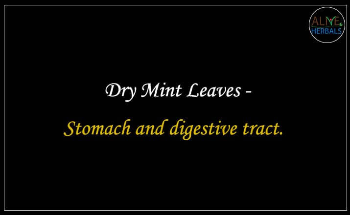 Dry Mint Leaves - Buy from the natural herb store