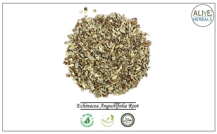 Echinacea Angustifolia Root - Buy from the health food store