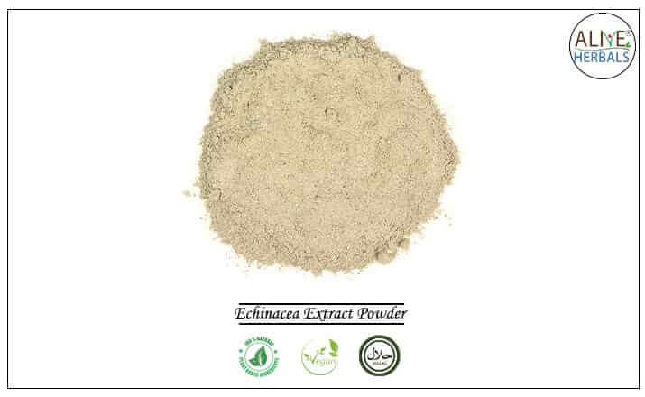 Echinacea Extract Powder- Buy from the health food store