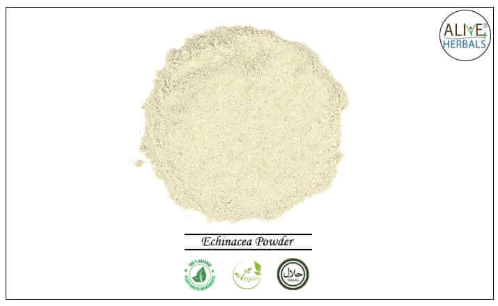 Echinacea Powder - Buy from the health food store