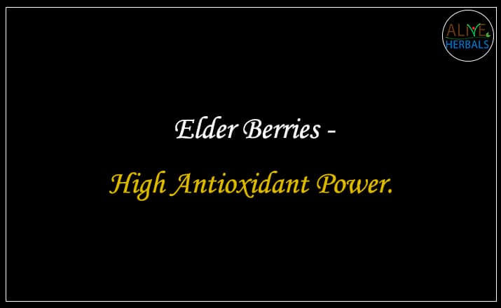 Elder Berries - Buy from the online herbal store