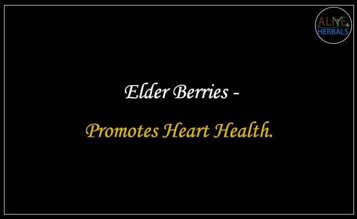 Elder Berries - Buy from the natural health food store