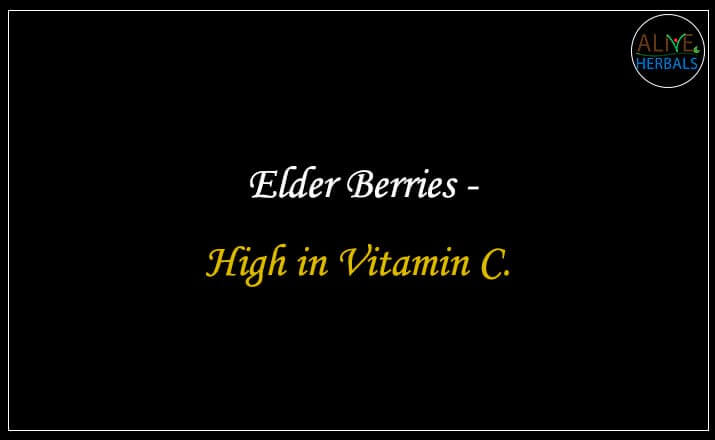 Elder Berries - Buy from the natural herb store