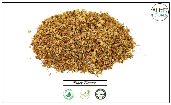 Elder Flower - Buy from the health food store