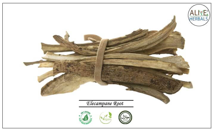 Elecampane Root - Buy from the health food store