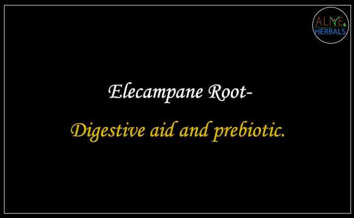 Elecampane Root - Buy from the natural health food store