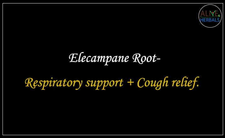 Elecampane Root - Buy from the online herbal store