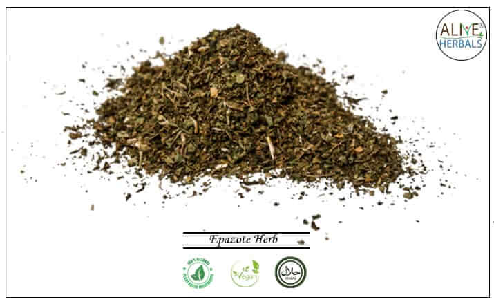 Epazote Herb - Buy from the health food store
