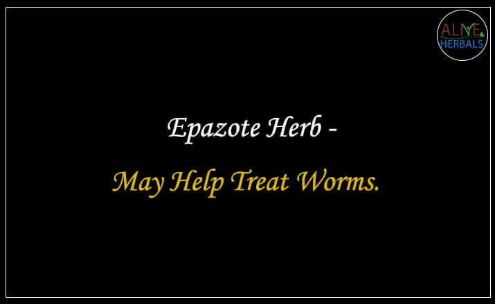 Epazote Herb - Buy from the natural health food store