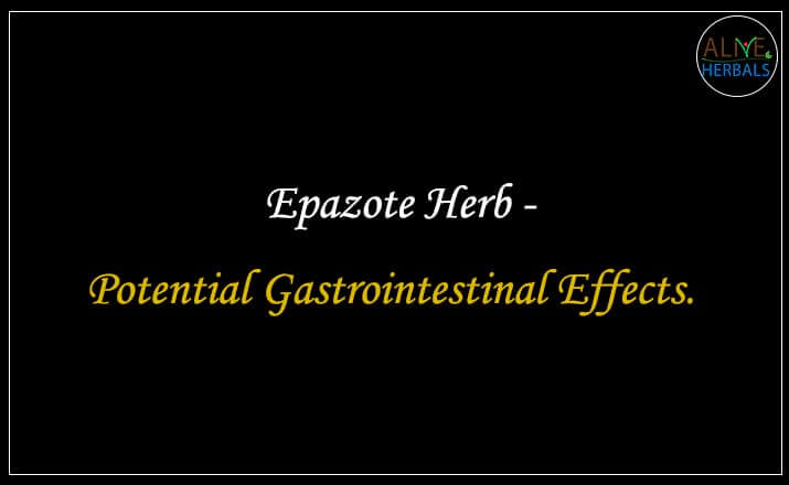 Epazote Herb - Buy from the natural herb store