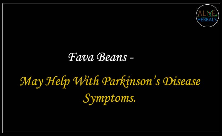 Fava Beans - Buy From the beans shop