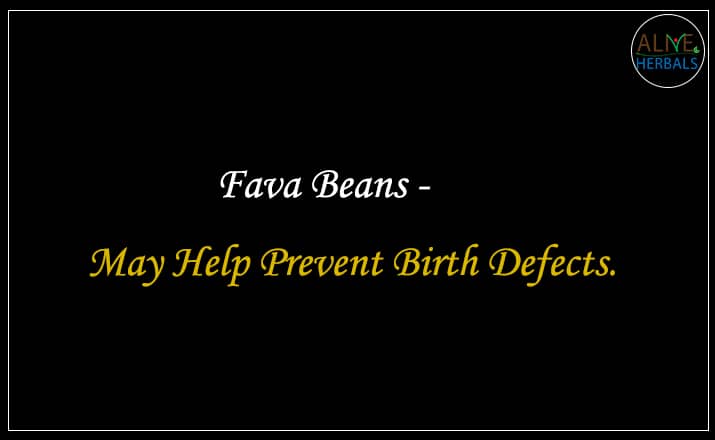 Fava Beans - Buy From the Best beans online store