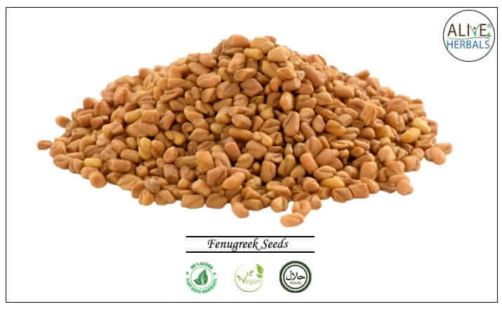 Fenugreek Seeds - Buy from the health food store