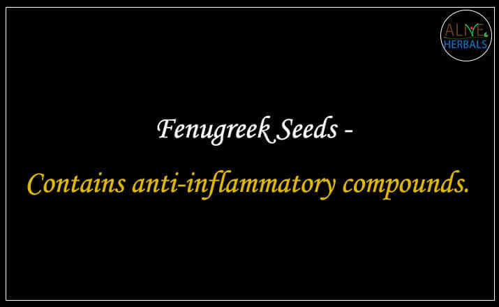 Fenugreek Seeds - Buy from the natural health food store