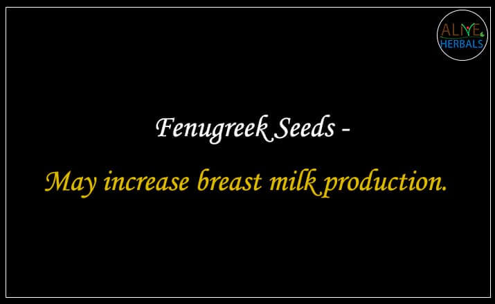 Fenugreek Seeds - Buy from the natural herb store