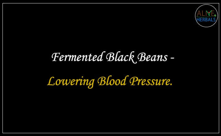 Fermented Black Beans - Buy from the online herbal store