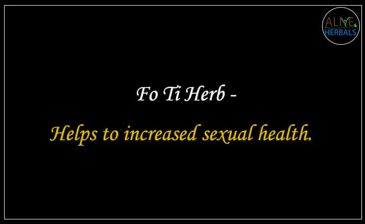Fo Ti Herb - Buy from the natural health food store