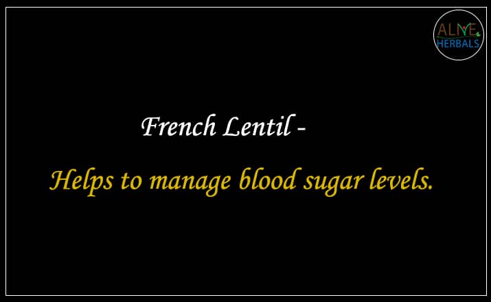 French Lentil - Buy From the best beans store online